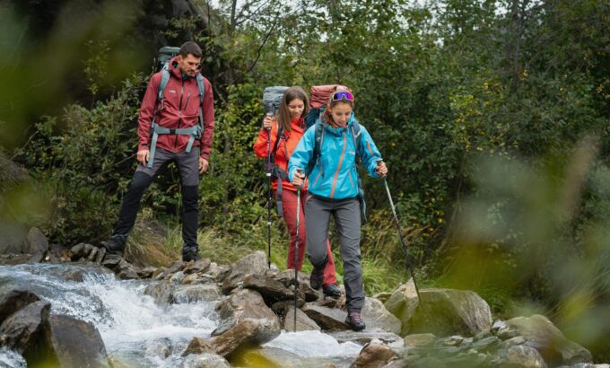 directalpine01 directalpine01