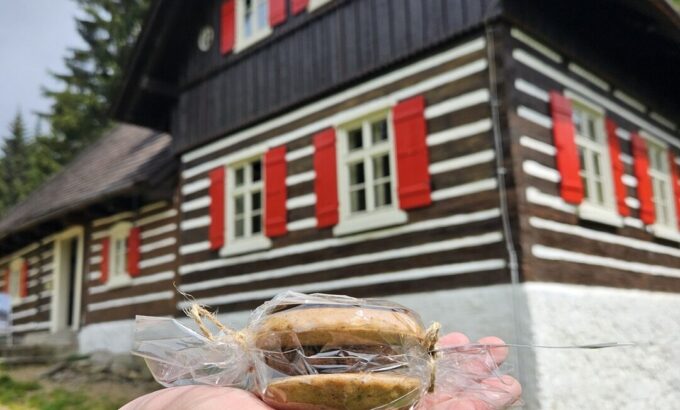 20240804_130842 20240804_130842