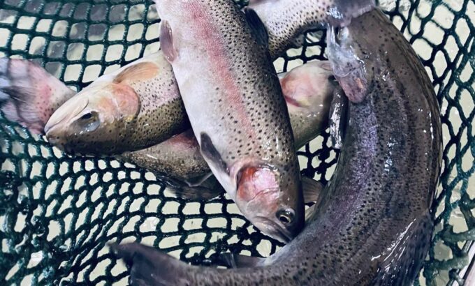 raj pod lemberkem03 raj pod lemberkem03