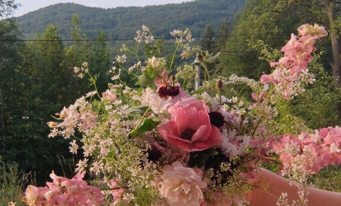 1738863089897 1738863089897